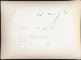 1954 Sziklai Dezső(1910-1997): Margitsziget, hátoldalon feliratozva, sarkán törésnyommal, kis szakad...