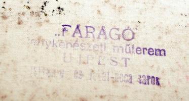 cca 1920-1930 Faragó fotó: Kerékpárversenyzők, sportolók csoportképe, címeres mezben, pecséttel jelz...