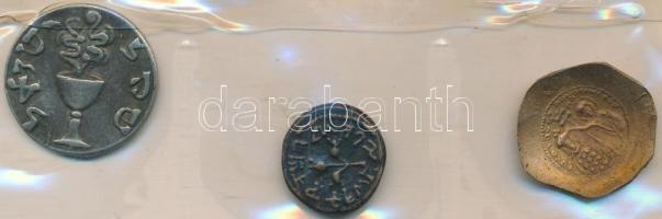 91db-os vegyes fémpénz gyűjtemény érmetartó albumban, benne indiai, izraeli, német replikákkal, érde...