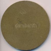 Garamkeszi János (1936-) DN "Ybl Miklós Építőipari Műszaki Főiskola" Br emlékérem dísztokb...