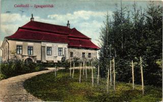 Csízfürdő, Igazgatói lak, Herskovits Mór kiadása  / Director's house