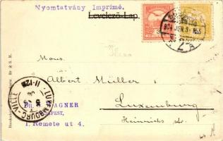 Budapest VIII. Erzsébet körút, Népszínház, Technológiai Iparmúzeum, Hotel Rémi; Taussig Arthur