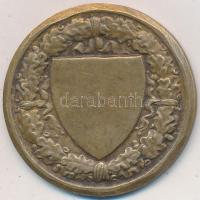 Berán Lajos (1882-1943) ~1930. "Budapesti (Budai) Torna Egylet 1869. - Kinizsy" Br díjérem...
