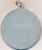 ~1930. "Lenti Béla Emlékverseny - MASZ Pestvidéki Kerülete" fém díjérem "LUDVIG"...