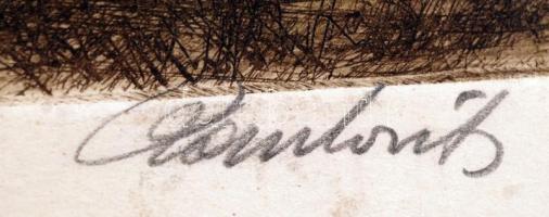 Paulovits Pál (1892-1975): Eső után. Színezett rézkarc, papír, jelzett, 25×35 cm