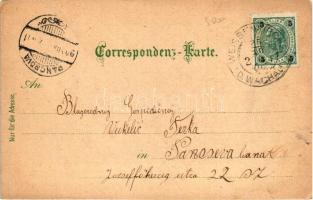 Joching in der Wachau, Buchinger's Gasthaus, Karl Schwidernoch litho