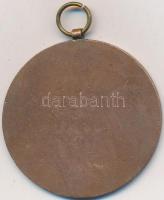 ~1930. "Budapest Székesfővárosi Levente Egyesületek" Br díjérem mellszalag nélkül. Szign.:...