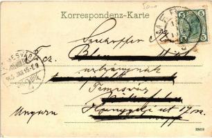 Merano, Meran, Strassenbild; Verlag Joh. F. Amonn / street view