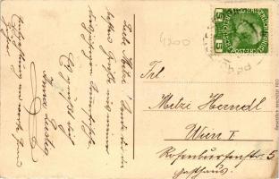 Perchtoldsdorf 'Feucht-Fröhliche Grüsse' Hochstrasee, Marktplatz / grapes and cigarettes