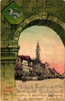 Steyr, Rathaus, Wappen, Verlag A. Stiasny / town hall; coat of arms litho