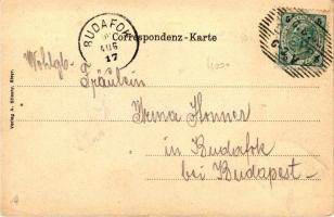 Steyr, Rathaus, Wappen, Verlag A. Stiasny / town hall; coat of arms litho