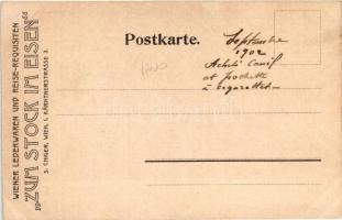 Vienna, Wien I. Kärnthnerstrasse 1-3 S. Chiger's 'Zum Stock im Eisen' Wiener Lederwar...