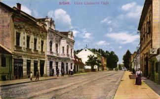 Sziszek, Sisak; Ulica Ljudevita Gaja / street