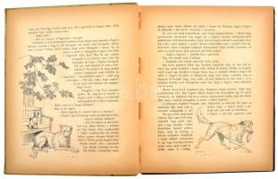 Az Újság albuma Basch Árpád illusztrációival, Atheneum. Bp., 1906. Athenaeum. egy lap elsavasodott, ...
