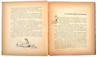 Az Újság albuma Basch Árpád illusztrációival, Atheneum. Bp., 1906. Athenaeum. egy lap elsavasodott, ...