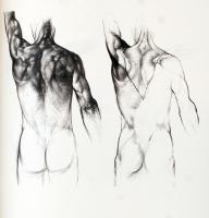 Barcsay Jenő: Művészet anatómiája. Budapest, 1985, Corvina. Kiadói egészvászon kötésben, fedőborítóv...