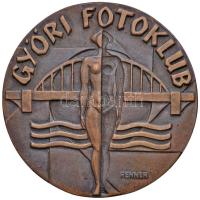 Renner Kálmán (1927-1994) 1968. "Győri Fotoklub" Br plakett (97mm) T:2