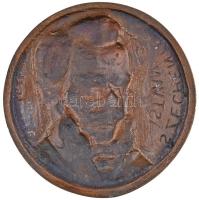 Boros Tibor (1945-) DN "Széchenyi István 1791-1860" Br plakett (108,5mm) T:2