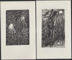 12 db metszet 1977. Kósa Bálint (1932-) linómetszetek mappában, 100 pédányban