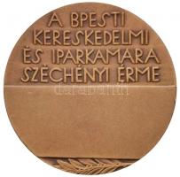 Beck Ötvös Fülöp (1873-1945) DN "A Budapesti Kereskedelmi és Iparkamara Széchenyi Érme" Br...