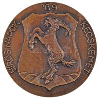 1989. "Kecskemét Hírös Napok" nagyméretű Br plakett (120mm) T:2