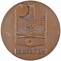 Váró Márton (1943-) DN "Debrecen" Br plakett (101mm) T:2