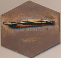 Svájc 1930. "Fasnacht 1930" Baselben tartott karnevál Br jelvénye. Szign.: Huguenin Freres...