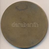 Csúcs Viktória (1934-) DN "KISZ 50 év - Érdeményes propaganda munkáért" Br emlékérem (51mm...