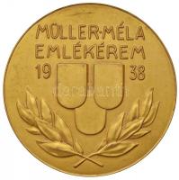 1938. "Müller Méla emlékérem / Somló Sára 1938.VI.3-18." aranyozott fém emlékérem eredeti tokban (55mm) T:2   Hungary 1938. "Medal of Méla Müller / Somló Sára 1938.VI.3-18." gilt metal medal in original case (55mm) C:XF