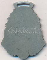 Svájc 1928. "Lausanne-i Szövetségi Énekes Fesztivál 1928." fém jelvény. Szign.: Huguenin (...