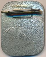 Svájc 1934. "1934. VIII. 1." nemzeti ünnepet éltető fém jelvény. Szign.: Luc Jaggi, Huguen...