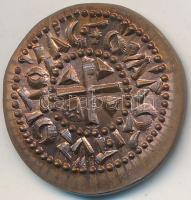 Ifj. Szlávits László (1959-) DN "Szt. Flórián / Fővárosi Tűzoltóság" Br emlékérem (23mm) T...