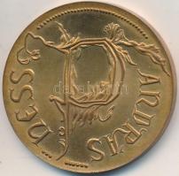 Lugossy László (1944-) DN "Hess András / A Cronica Hungarorum emlékére 1473" Br emlékérem (42mm) T:2