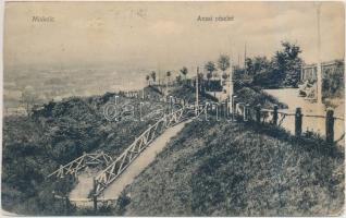 10 db RÉGI magyar, erdélyi és felvidéki városképes lap, vegyes minőségű / 10 old postcards from Hung...