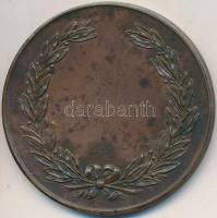 Pincés Puder István (1907-) 1933. "MTK Velence Tavi Túraút 1933" Br emlékérem, "HAWEL...