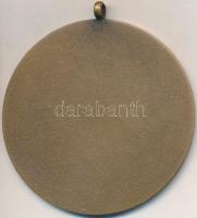 DN "Budapest" Br emlékérem "Berán L." jelzés nélkül, füllel (54mm) T:2