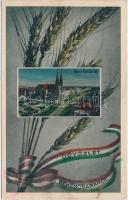 10 db RÉGI magyar és erdélyi városképes lap, benne egy leporello, főleg fekete-fehér lapok / 10 old ...