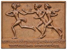 Madarassy Walter (1909-1994) DN "Pesti Hazai első Takarékpénztár Egyesület Tisztviselőinek Sportegyesülete" Br emlékplakett, mesterjegy nélkül (49x68mm) T:2,2-
