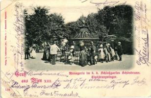 10 db RÉGI főként osztrák városképes lap, vegyes minőségű / 10 old, mainly Austrian postcards, mixed...