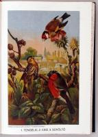 Brehm Alfréd: Az állatok világa egy kötetben. Átdolgozta Rapaics Raymund. A szerző arcképével, 10 sz...