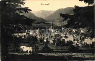 10 db RÉGI főként osztrák városképes lap / 10 old, mainly Austrian postcards