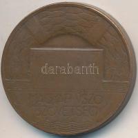 Göröntsér Greff Lajos (1888-1976) ~1930-1940. "Magyar Úszó Szövetség 1907" Br emlékérem (3...