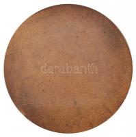 Szentgyörgyi István (1881-1939) 1924. "Dr. Verebély Tibor" Br emlékérem. "SCIENTIAM E...