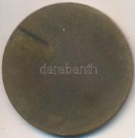 Göröntsér Greff Lajos (1888-1976) ~1930-1940. "Magyar Úszó Szövetség 1907" Br emlékérem (3...