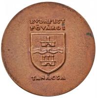 Madarassy Walter (1909-1994) DN "Budapest Főváros Tanácsa / Halászbástya" Br emlékérem (71...