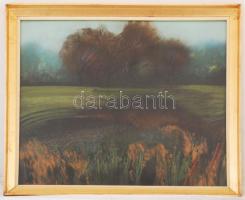 Dobrovits Ferenc (1941-1988): Táj II. Olaj, farost, jelzett, üvegezett keretben, 58×65 cm