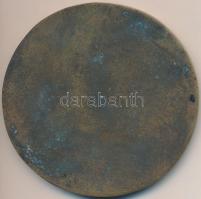 1994. "IV. Üzemgazdasági Napok Gyöngyös '94 - Hensch Árpád" Br emlékérem eredeti tokb...