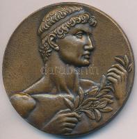 1950. "Budapesti Lokomotiv Sport Kör" zománcozott Br emlékérem (50mm) T:2