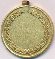 DN "M.O.V.E. (Magyar Országos Véderő Egylet) - Becsülettel a hazáért" aranyozott emlékérem...