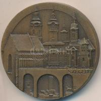 Lapis András (1942-) DN "Szeged Tourist" Br piefort emlékérem (43mm) T:2